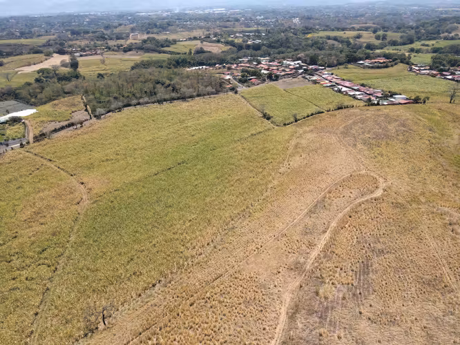 FINCA EN VENTA, ALAJUELA, GRECIA, DESARROLLO INMOBILIARIO, CERCA DE ZONAS FRANCAS