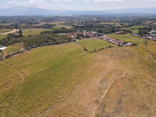 FINCA EN VENTA, ALAJUELA, GRECIA, DESARROLLO INMOBILIARIO, CERCA DE ZONAS FRANCAS - Imagen 2