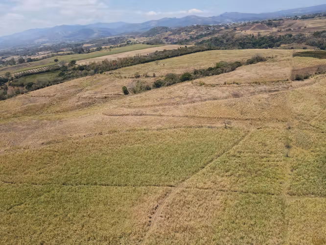 FINCA EN VENTA, ALAJUELA, GRECIA, DESARROLLO INMOBILIARIO, CERCA DE ZONAS FRANCAS - Imagen 4