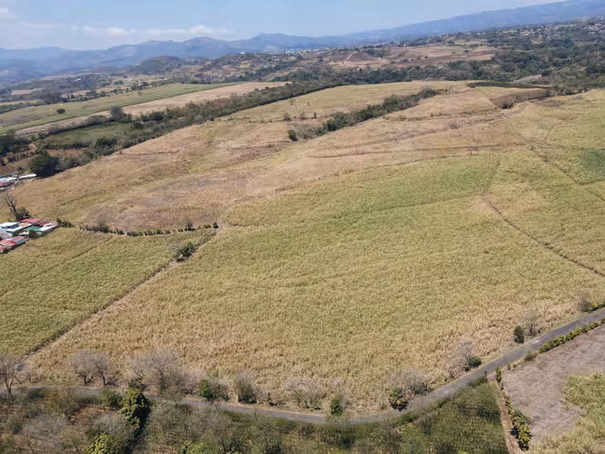 FINCA EN VENTA, ALAJUELA, GRECIA, DESARROLLO INMOBILIARIO, CERCA DE ZONAS FRANCAS - Imagen 6