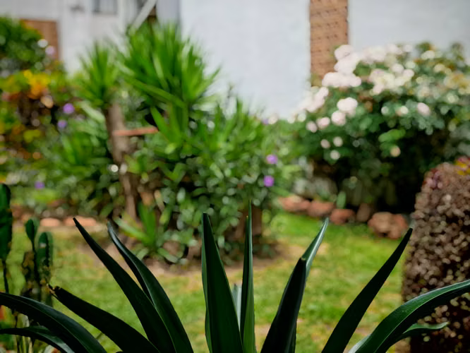 *Venta de Apartamento en Tibás - Imagen 19