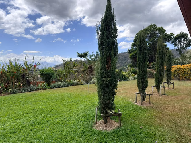 Venta de Finca Cafetalera con hermosa Casa en Atenas - Imagen 2