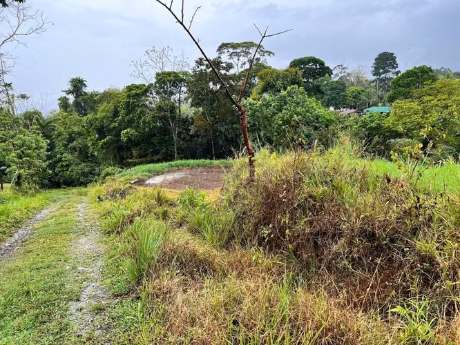 Venta de Lote en San Isidro de Peñas Blancas de San Ramón. 26-1801 - Imagen 3