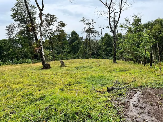 Venta de Lote en San Isidro de Peñas Blancas de San Ramón. 26-1801 - Imagen 5