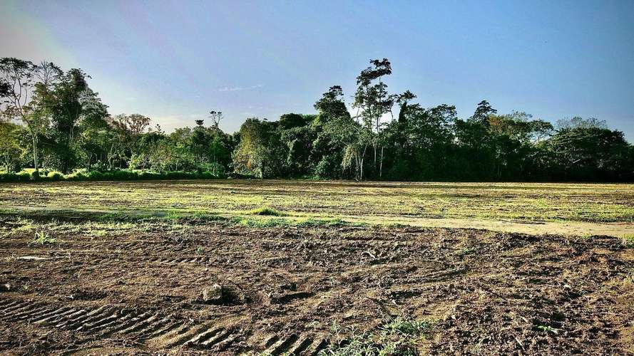 Venta de Lote en . San Carlos-La Fortuna, Alajuela. Oportunidad Única de Inversión. - Imagen 5