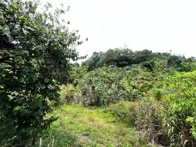 Venta de Lote en Desamparados-San Cristóbal Norte, San José. - Imagen 8