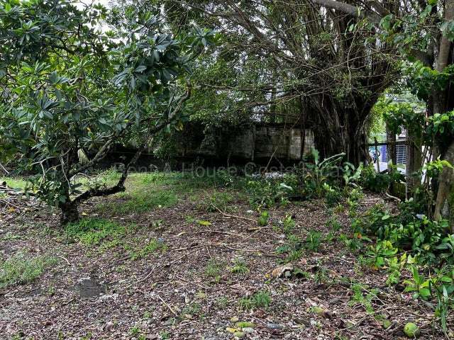 Venta de LOTE en Limón-Centro. TIENE SERVIDUMBRE - Imagen 3