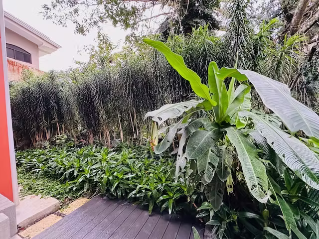 Apartamento con jardín en Pinares, Curridabat