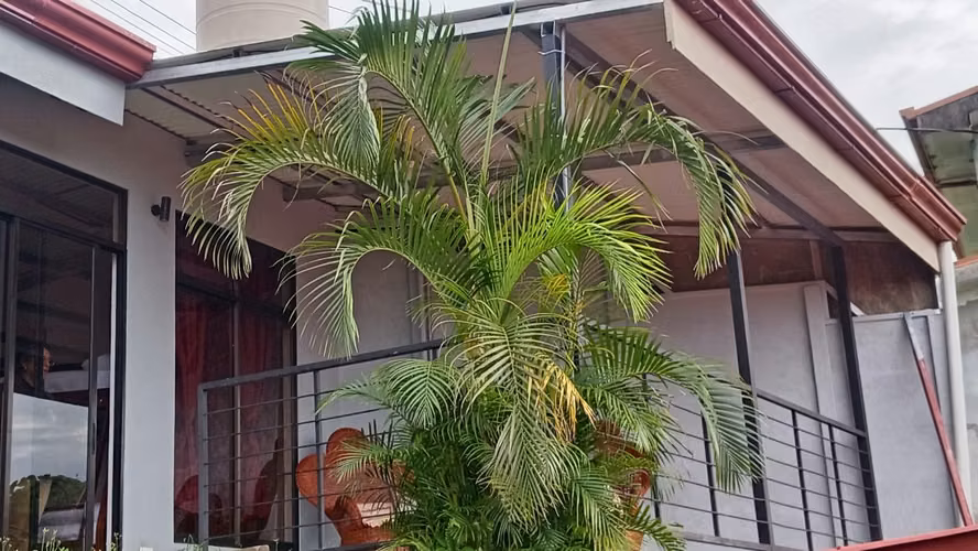 Apartamento amueblado en Santa Bárbara de Heredia - Imagen 10