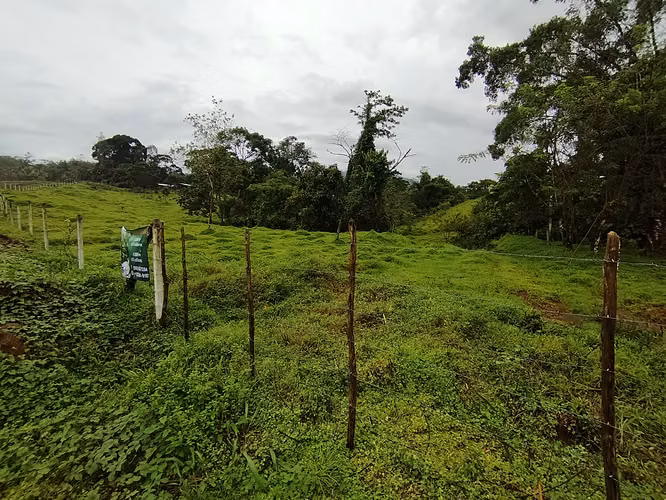 Finca 15.5 hectareas - Imagen 17