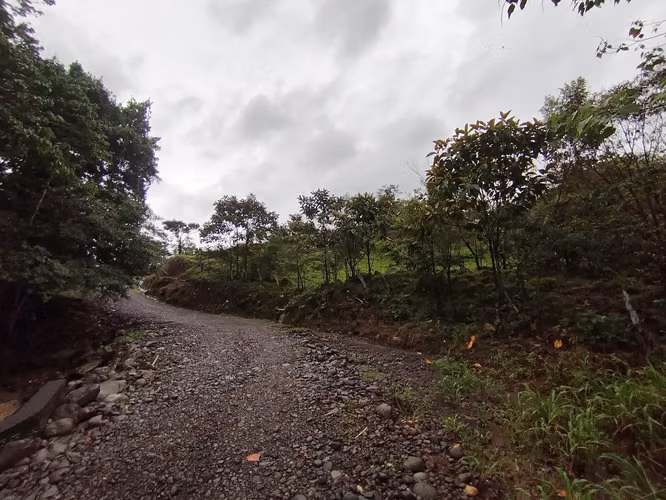 Finca 15.5 hectareas - Imagen 14