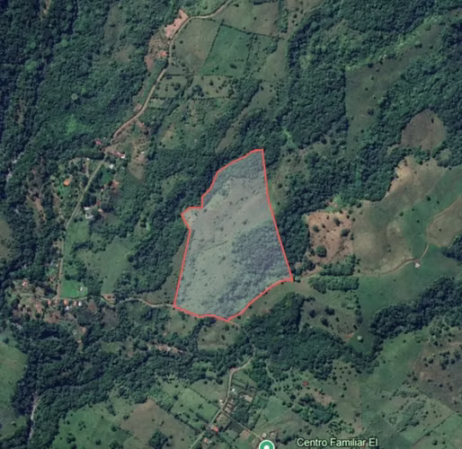 Finca 15.5 hectareas - Imagen 19