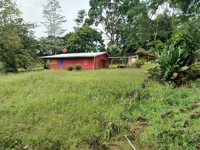 Finca en Venta - Imagen 1