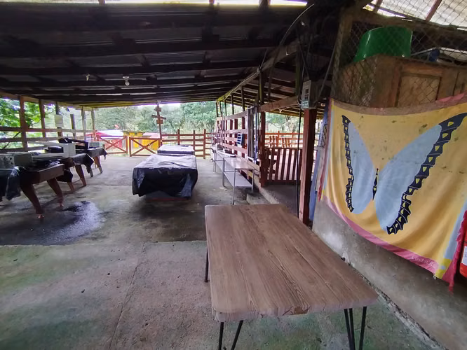 Finca en Venta - Imagen 17