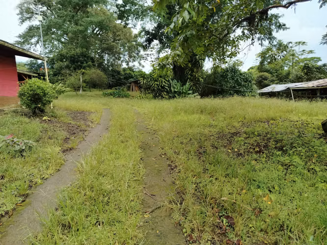 Finca en Venta - Imagen 10