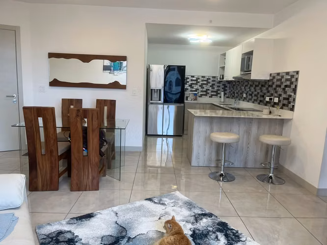 Penthouse Amueblado en Alquiler | Núcleo Sabana – San José - Imagen 5