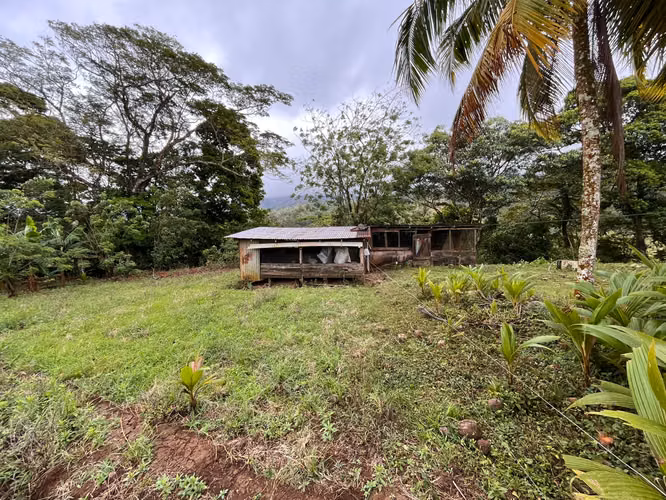 Finca de 29 Hectáreas en Upala – Lista para Producir - Imagen 4