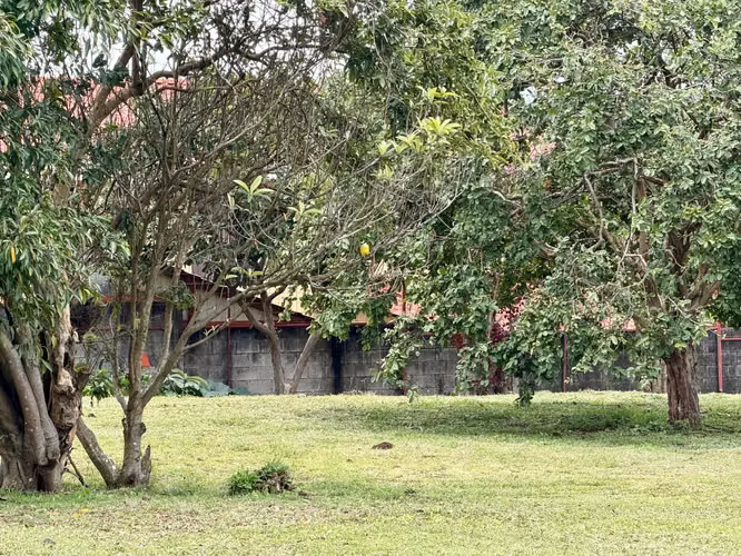 Lote 493 m² en Condominio Villa Val Novus – San Isidro de Heredia - Imagen 3