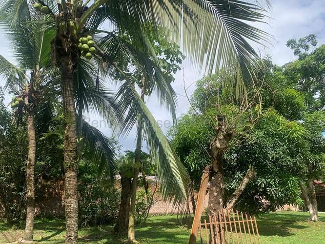 Venta de Casa en Parrita de Puntarenas.  - Imagen 13