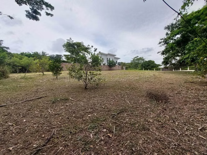 Venta de Lote en Mora-Colón. - Imagen 7