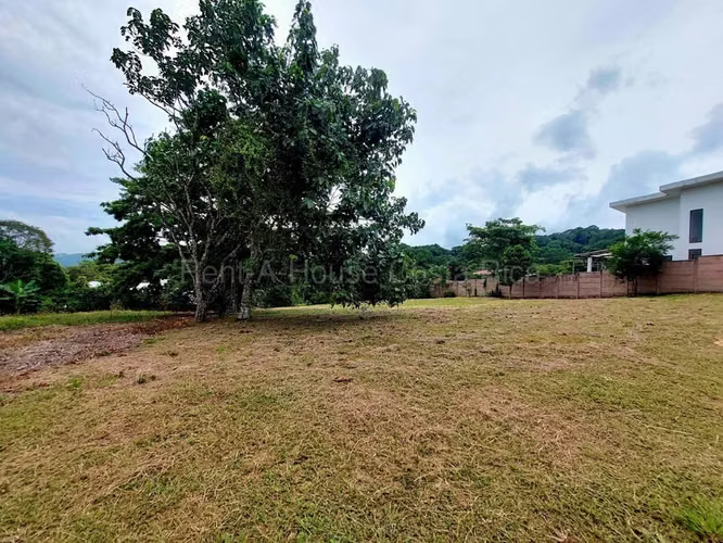 Venta de Lote en Mora-Colón.