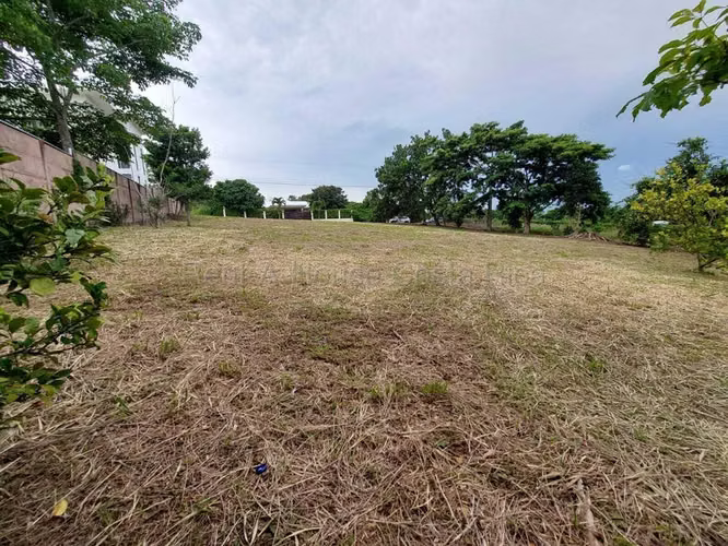 Venta de Lote en Mora-Colón. - Imagen 8