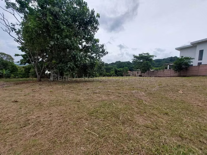 Venta de Lote en Mora-Colón. - Imagen 6