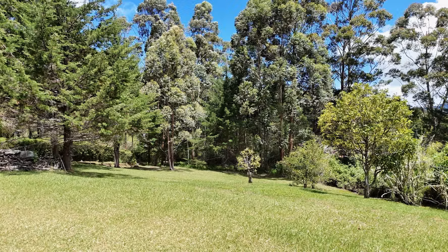 Lote 7.700 m² con jardines · A 7Km de Santa María