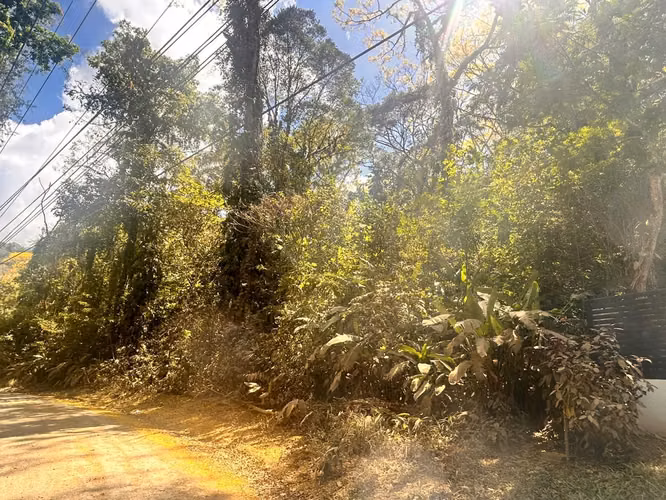VENDO LOTE GRANDE EN CAMINO VIEJO A PLAYA BLANCA, GARABITO, TARCOLES