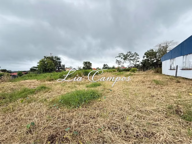 LOTE EN VENTA EN EL CENTRO DE FLORENCIA, SAN CARLOS | USO MIXTO Y RESIDENCIAL - Imagen 11