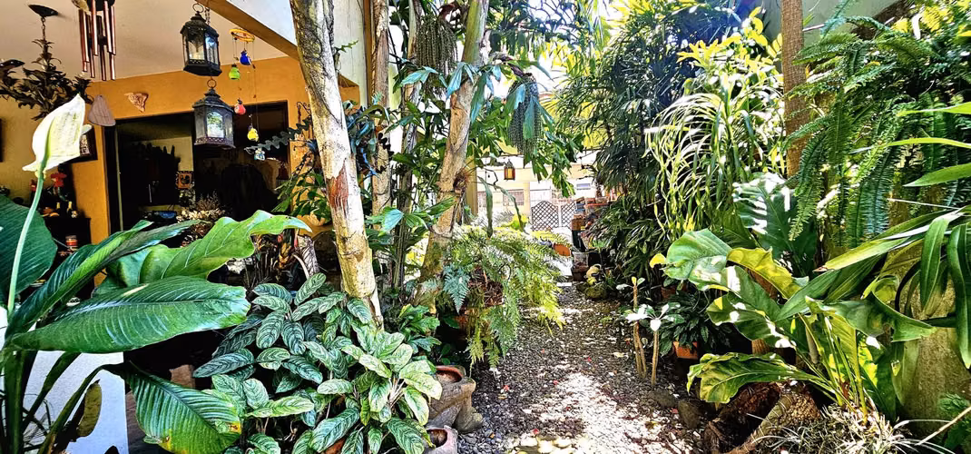 Venta de Casa en Moravia AMPLIA ZONA VERDE Condominio - Imagen 9