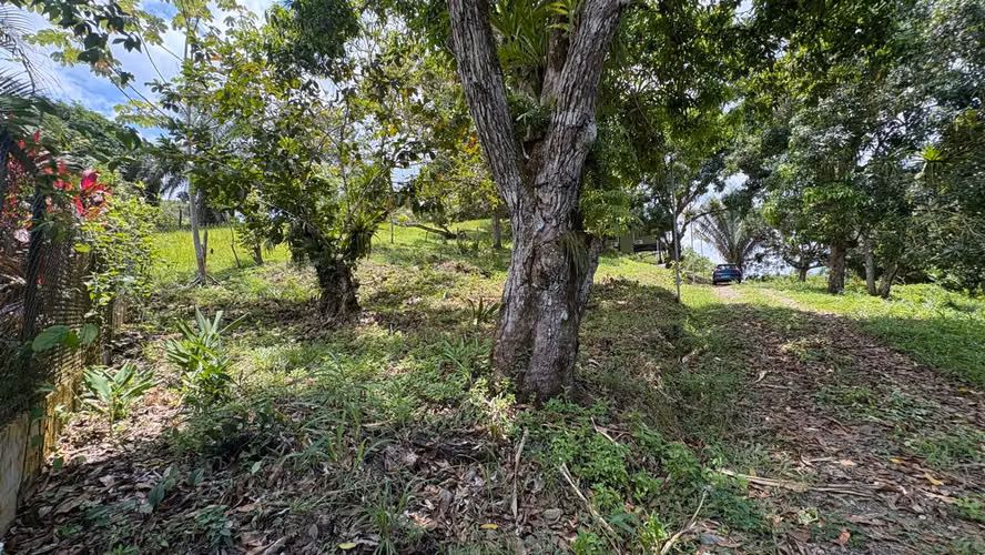 Venta de lote en Quepos 257 mts2 - Imagen 2