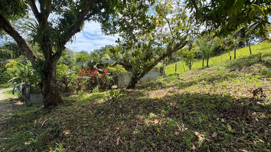 Venta de lote en Quepos 257 mts2 - Imagen 7