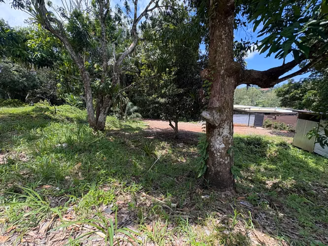 Venta de lote en Quepos 243 mts2 - Imagen 2