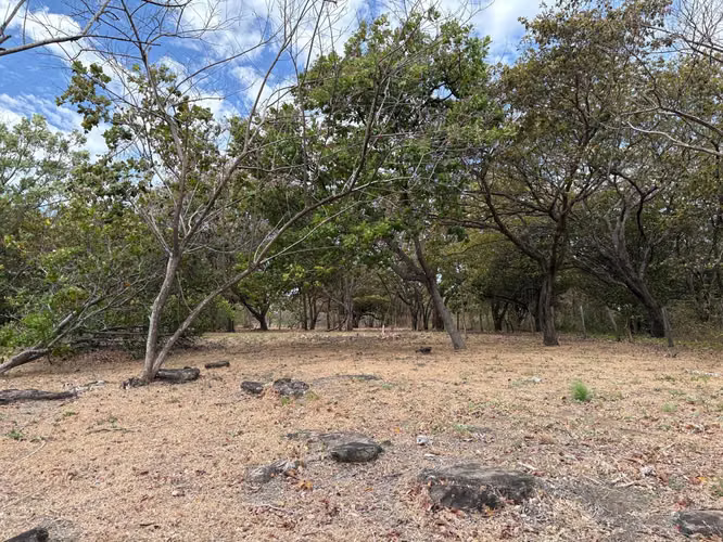 Lote en Venta en Bagaces, Guanacaste MV-253 - Imagen 6