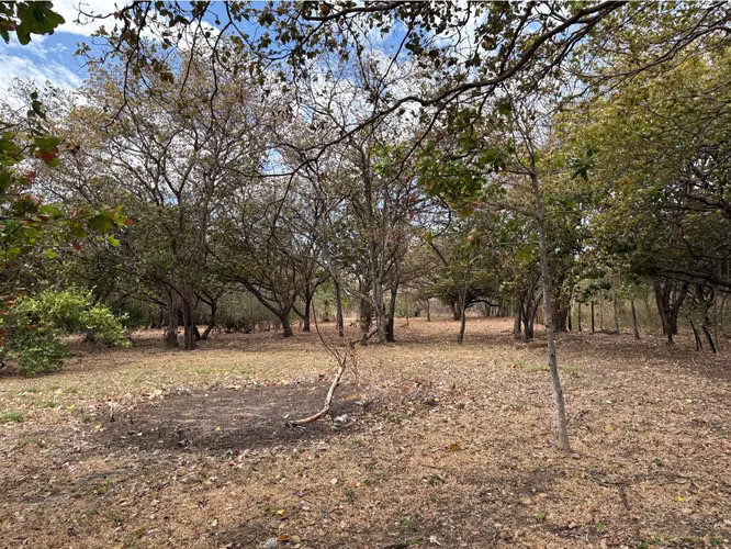 Lote en Venta en Bagaces, Guanacaste MV-253 - Imagen 5