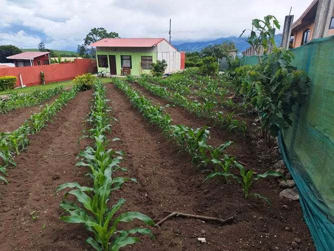 Se vende terreno en Cervantes, Cartago - Imagen 2