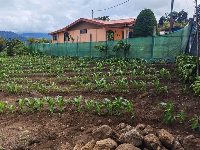Se vende terreno en Cervantes, Cartago - Imagen 3