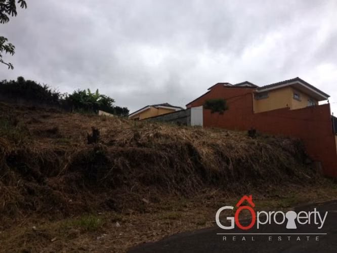 Lote para desarrollo en Pinares de Curridabat, 988 - Imagen 2