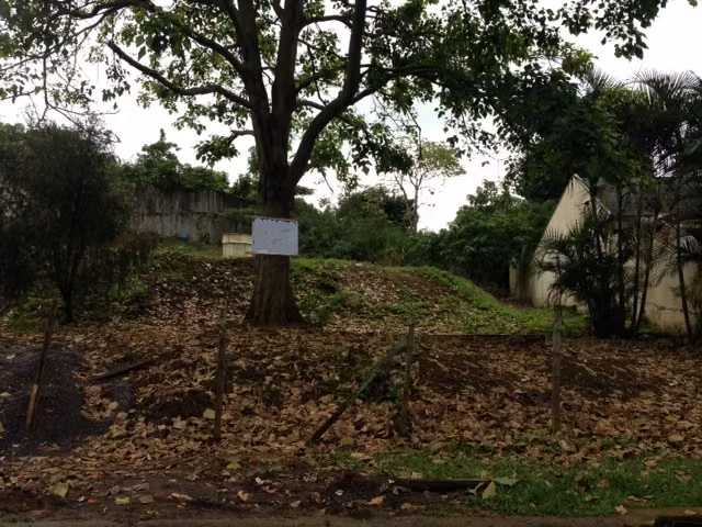 Lote para desarrollo en Pinares de Curridabat, 1477 - Imagen 4