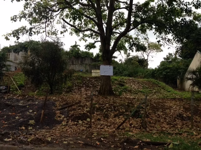 Lote para desarrollo en Pinares de Curridabat, 1477 - Imagen 3