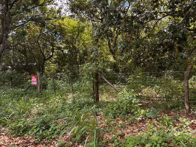 Venta de Terreno en Pijije de Bagaces Guanacaste 10 - Imagen 5