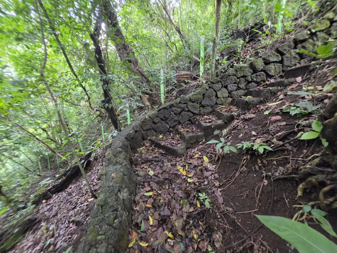 Oportunidad Propiedad San José de la Montaña, Barva, Heredia - Imagen 13