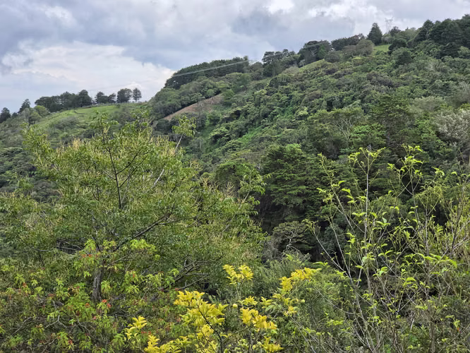 Oportunidad Propiedad San José de la Montaña, Barva, Heredia - Imagen 10