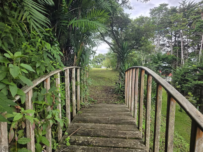 Oportunidad Propiedad San José de la Montaña, Barva, Heredia - Imagen 5