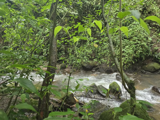 Oportunidad Propiedad San José de la Montaña, Barva, Heredia - Imagen 19