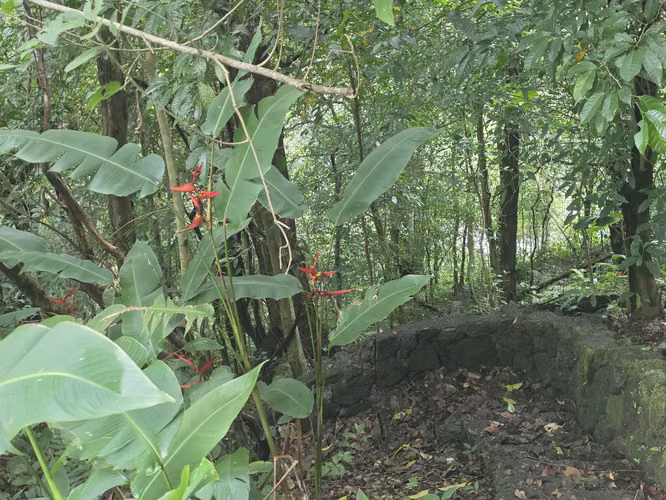 Oportunidad Propiedad San José de la Montaña, Barva, Heredia - Imagen 11