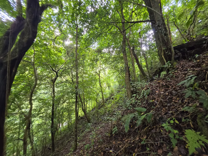 Oportunidad Propiedad San José de la Montaña, Barva, Heredia - Imagen 14