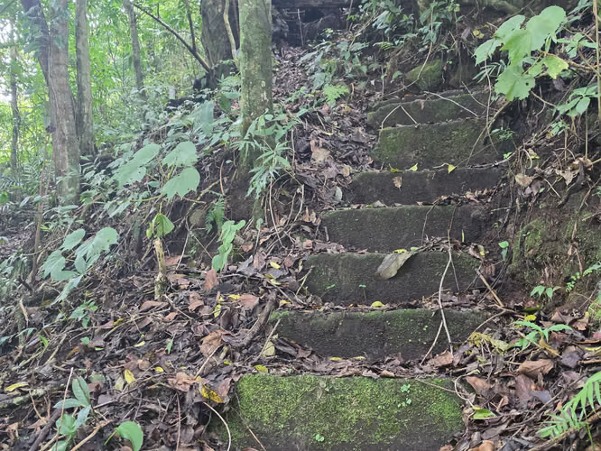 Oportunidad Propiedad San José de la Montaña, Barva, Heredia - Imagen 12