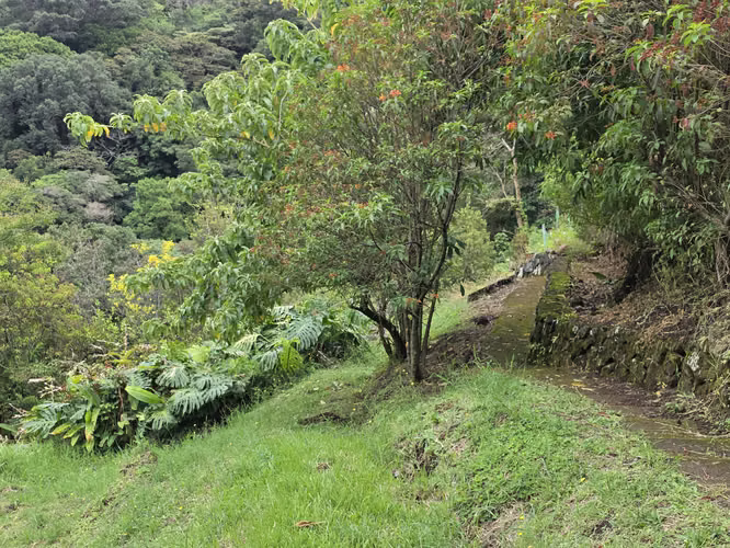 Oportunidad Propiedad San José de la Montaña, Barva, Heredia - Imagen 18